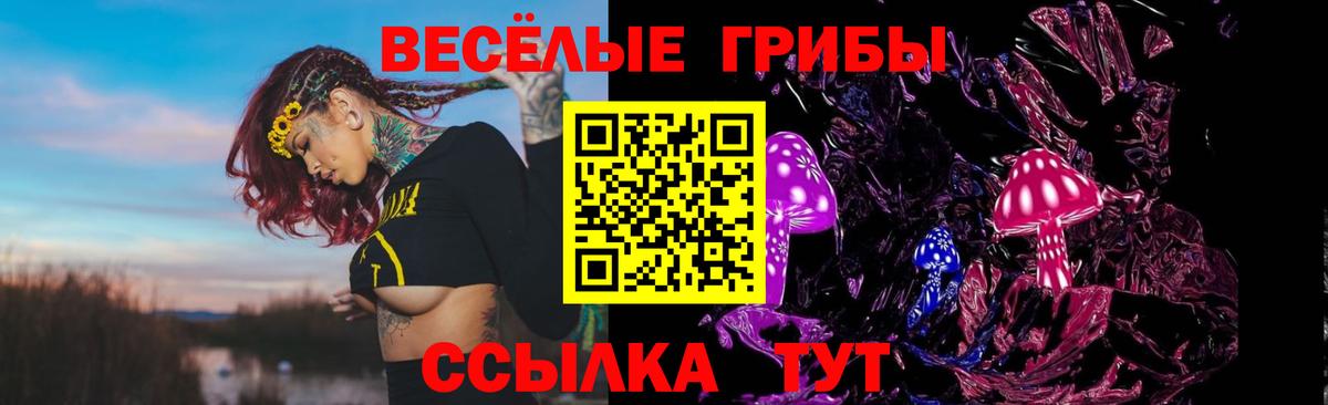 Благодарный  Галлюциногенные грибы Cubensis  магазин  наркотиков  Вход с VPN  Псилоцибиновые грибы Cubensis 